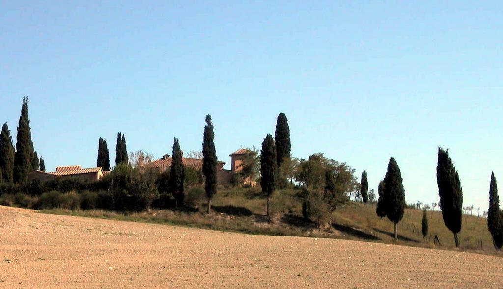 Castello Di Leonina Relais - Adults Only Hotel Siena Ngoại thất bức ảnh